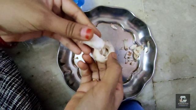 How to clean mushrooms II How to clean mushrooms before cooking II Mushrooms II Mushrooms cleaning. смотреть онлайн