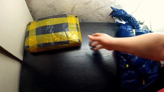 Детские пуховые курточки "Динозавры" (61) смотреть онлайн