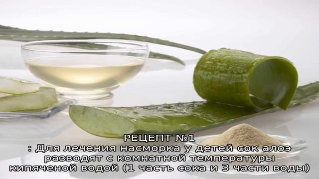 Алоэ детям. Как лечить насморк и кашель с алоэ? Рецепты народной медицины с алоэ для детей смотреть онлайн