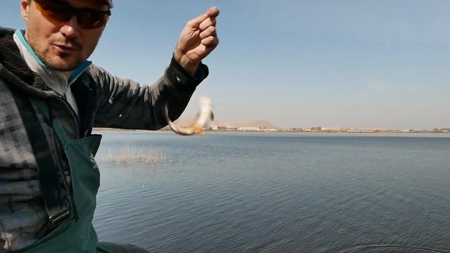 Рыбалка на Солигорском водохранилище. Апрель, фидер, плотва, эксперименты. смотреть онлайн