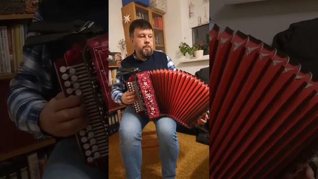 Сормовская лирическая, виновата ли я и коротенький наигрыш. Павел Бузин смотреть онлайн