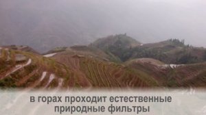 Старики из уникальной деревни долгожителей в Китае  раскрыли свои секреты