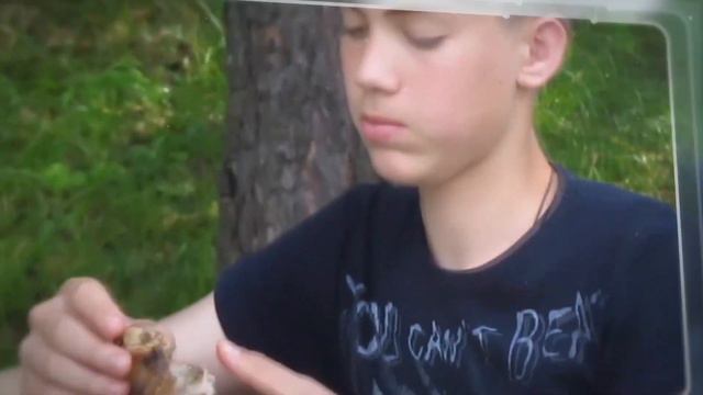 Активный отдых на Павловке смотреть онлайн
