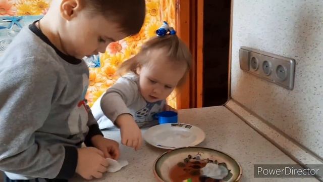 Как быстро прорастить семена огурцов 29 марта 2021 г. смотреть онлайн
