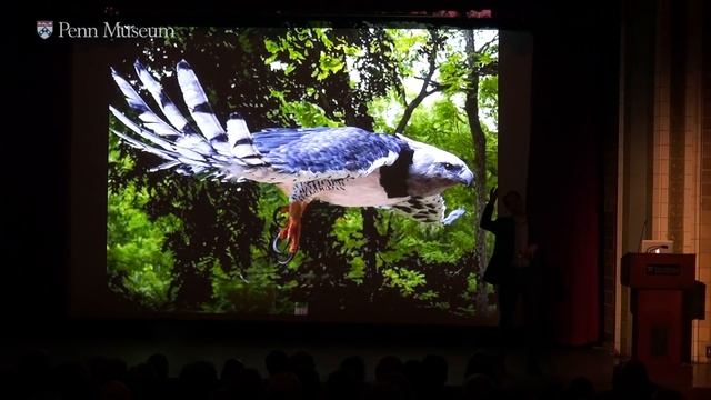 Great Beasts of Legend: Monsters of the Maya Cosmos смотреть онлайн