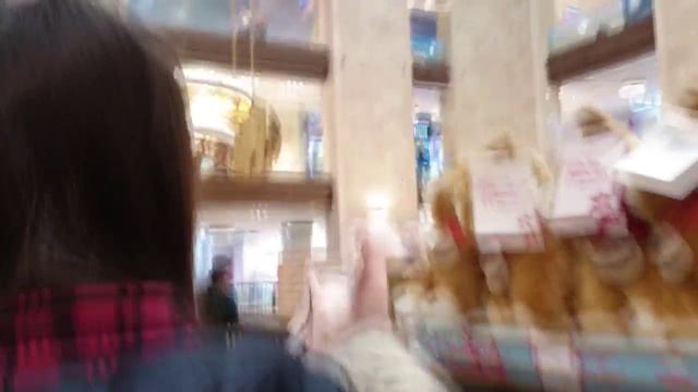 #VLOG# Очень смешно! Больше свиней богу свиней! смотреть онлайн