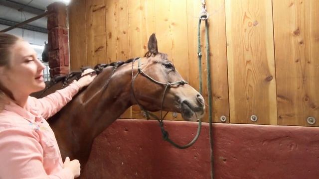 Do you know where your horse likes to be scratched? смотреть онлайн