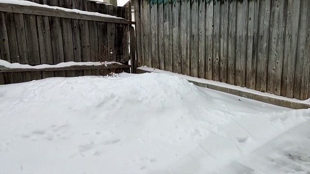 деревенские будни/прелести зимы❄️ смотреть онлайн