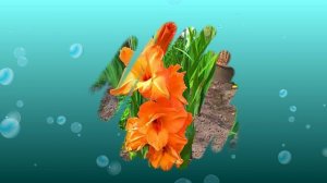 Футаж. Цветочный фон 121