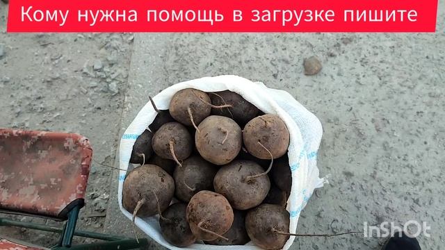 Цены сегодня рынок Великие Копани Херсонская область 18 апреля Клубника ? 500-550р. смотреть онлайн