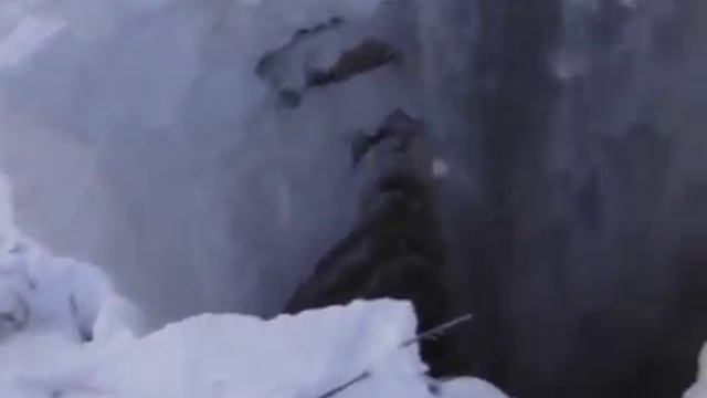 Спасение росомахи.mp4 смотреть онлайн