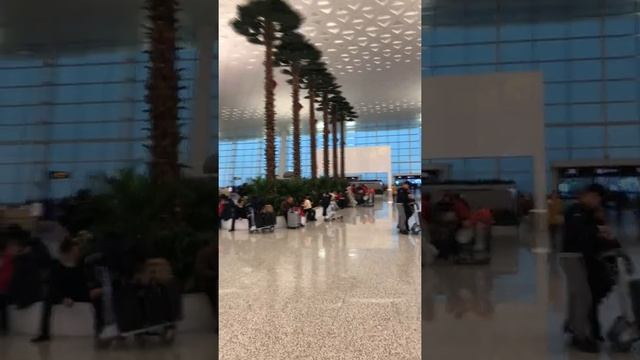 Wuhan airport travel to china смотреть онлайн