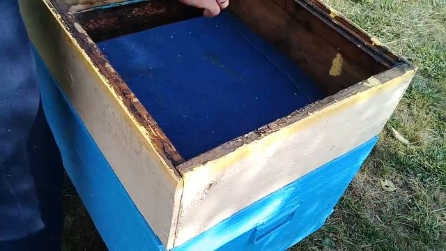 ?Китайские пластины от клеща Варроа для пчел. Флувалинат смотреть онлайн