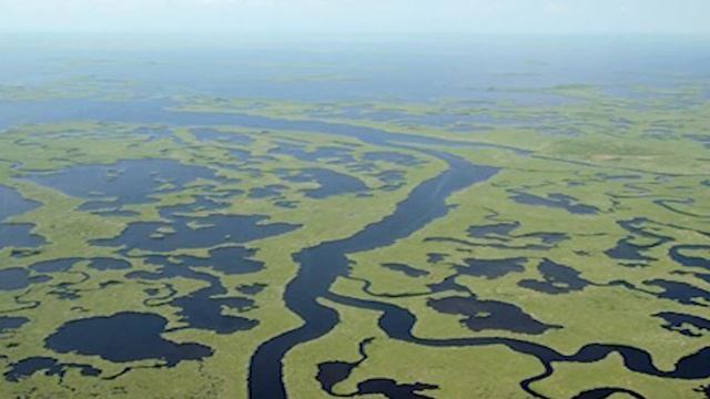 Everglades National Park | All About The Everglades смотреть онлайн