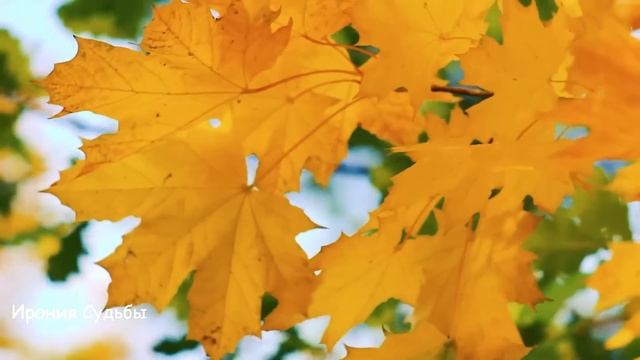 На конкурсе вокала увидел на сцене копию своей дочери и обомлел... смотреть онлайн