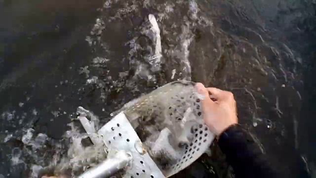Аська под водой смотреть онлайн