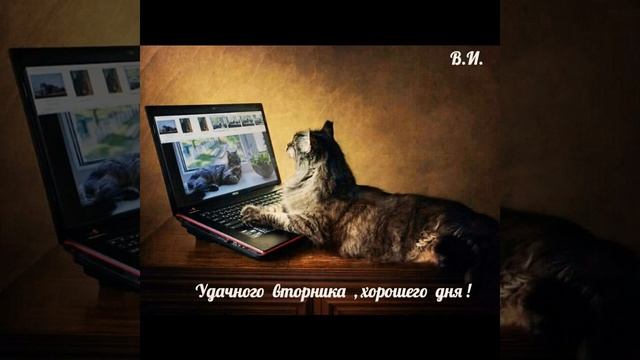 Доброго вторника!!!@ смотреть онлайн