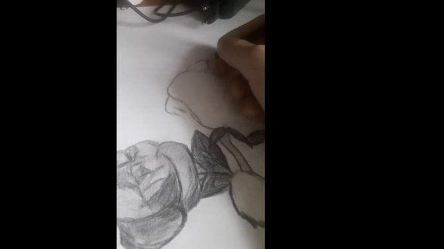 Рисование. Как нарисовать розу. Карандаш смотреть онлайн