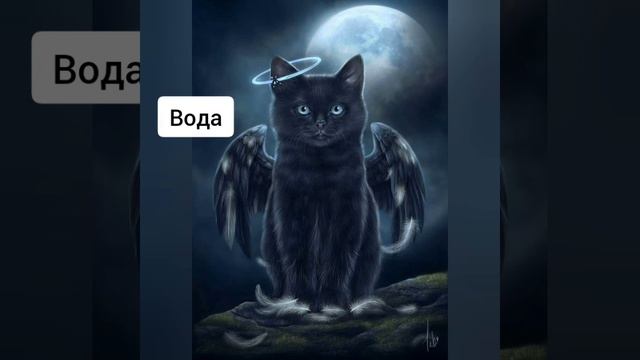 Хочешь узнать какая твоя стихия по знаку зодиака? смотри это видео смотреть онлайн