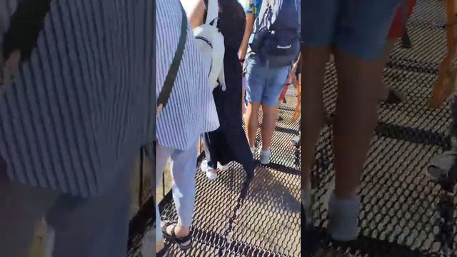 На утреннем кормлении прибавилось львов! Парк львов "Тайган" смотреть онлайн