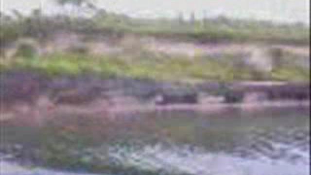 Остров Русский 2006 год смотреть онлайн