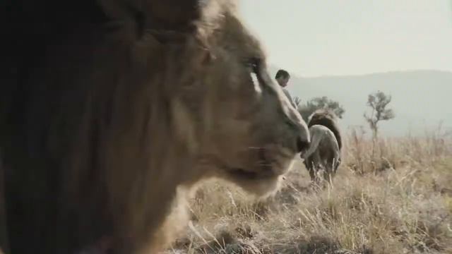Kevin Richardson lion whisperer Ain Atlas m4v смотреть онлайн