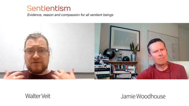 "A Philosophy for the Science of Animal Consciousness" - Walter Veit - Sentientism Ep:158 смотреть онлайн