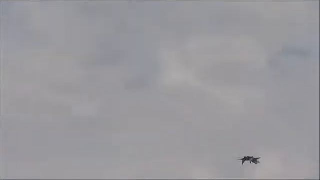 Крылья Пармы 2014