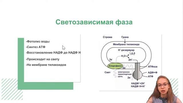 ФОТОСИНТЕЗ с Дарьей Лопатиной в 11:00 смотреть онлайн