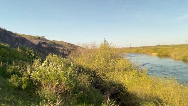 На берегах р Тобол смотреть онлайн