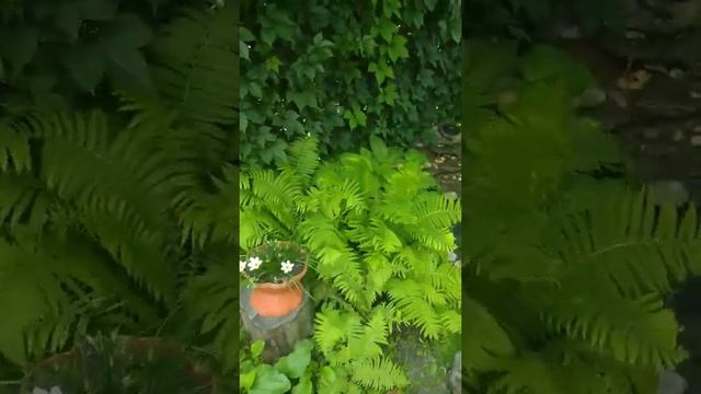 ФОНТАН СВОИМИ РУКАМИ смотреть онлайн