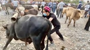 Узбекистан ! Такое туристы ещё не видели! Огромный МАЛ БАЗАР ! Кто такой ДАЛОЛ!! Ферганская долина!