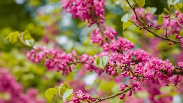 КАК УЛУЧШИТЬ СВОЮ ЖИЗНЬ! Некоторые правила по улучшению жизни! Мастер Авеста, Центр «Академия Духа» смотреть онлайн