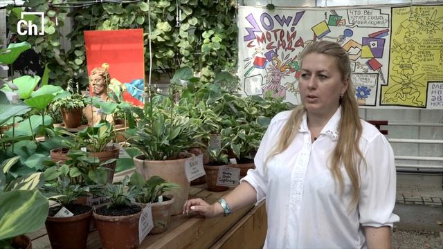 Стрелолист, водяной орех и лотос: чем поживиться в пруду смотреть онлайн