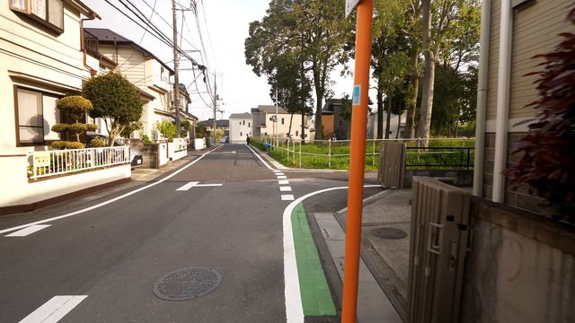 4K・Тюльпаны из сада Омия Хананоока Норин