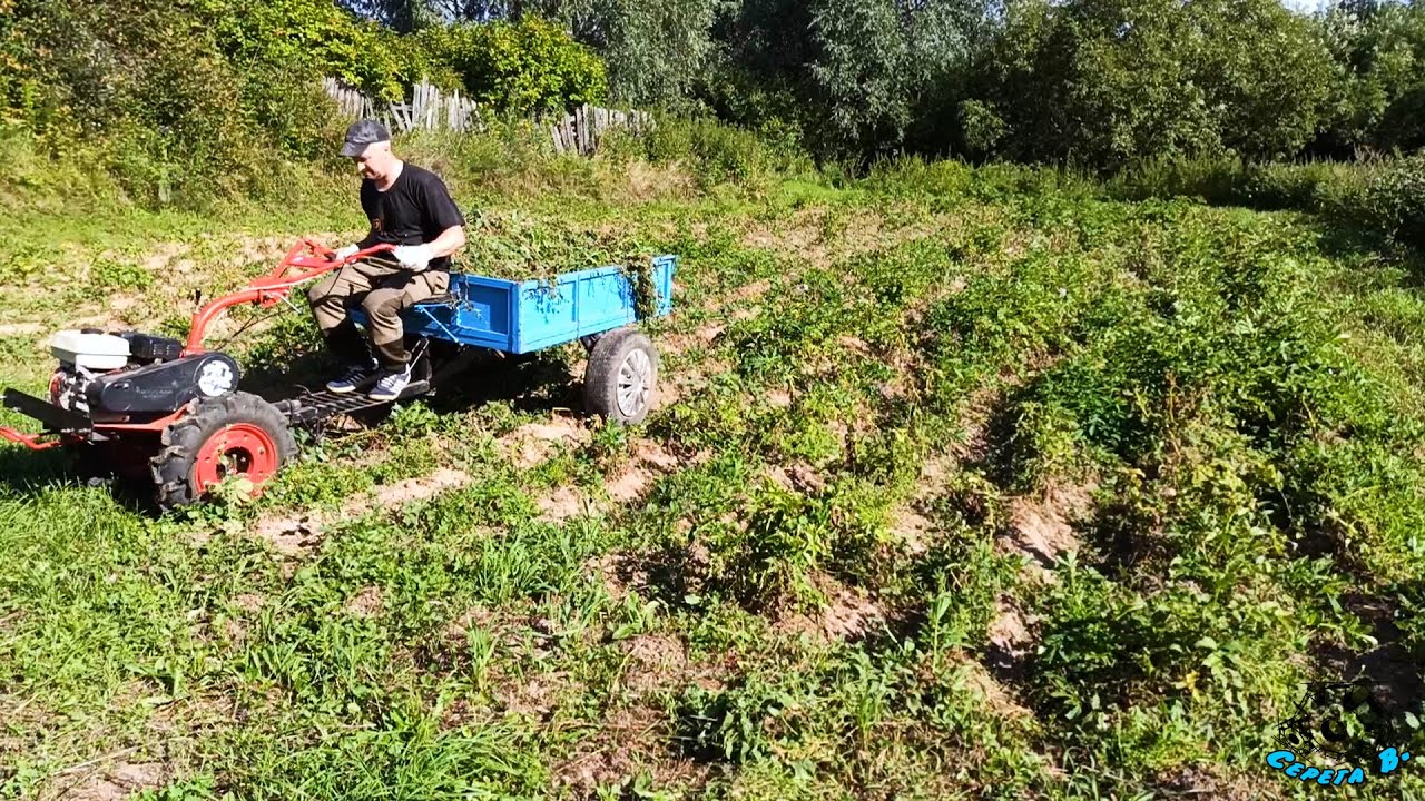 Очищаем участок на сверхзвуковой скорости. Помощник пришел помогать папе смотреть онлайн