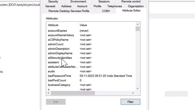 View User Attributes in Active Directory смотреть онлайн