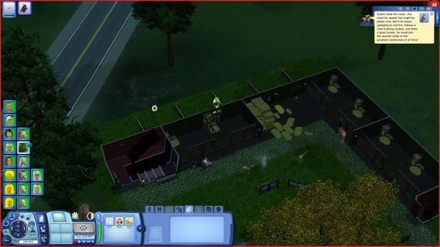 Let's Play: The Sims 3 50 Foals Challenge - Part #165 - Training Sultan! смотреть онлайн