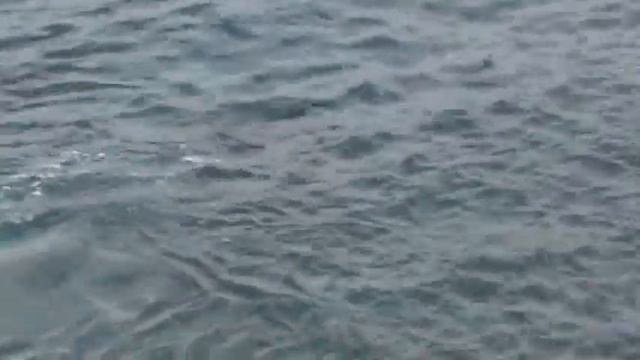 ИСПАНИЯ: Водолазы на Ла Пальма... Канарские острова La Palma Canary Islands Spain смотреть онлайн