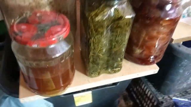 ТАЙНАЯ ЛАБОРАТОРИЯ смотреть онлайн