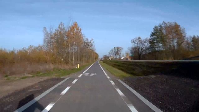 Польша. Поездка на велосипедах. Как мы съездили в лес за грибами. смотреть онлайн