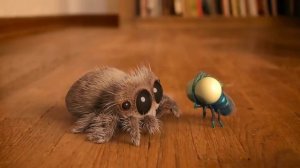 Прыгающий Паук Лукас Lucas the Spider Jumping Spider на русском