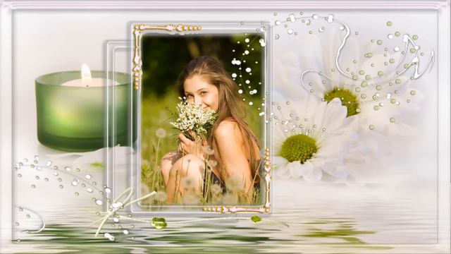 Ромашки PHOTODEX PROSHOW смотреть онлайн