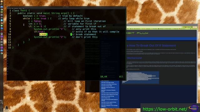 Java How To Break Out Of If Statement смотреть онлайн