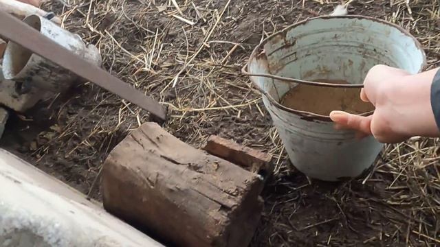 Лунтик поправляется