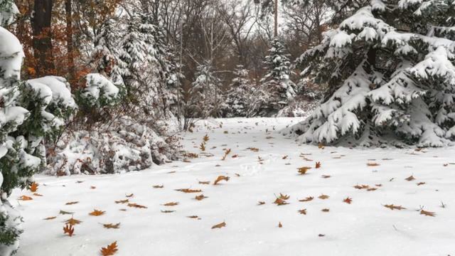 Чтобы молитва не удаляла от Бога. Праведный Иоанн Кронштадтский.. смотреть онлайн