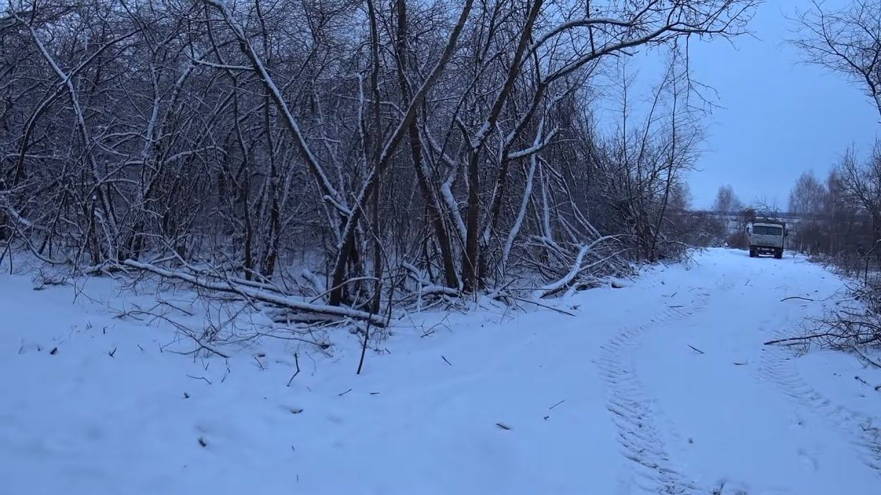 ЯБЛОЧНЫЙ САД , ВОЗИМ КУСТЫ смотреть онлайн