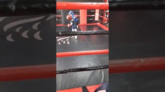 жаугра гриша . 30.04.2022г. Сокол