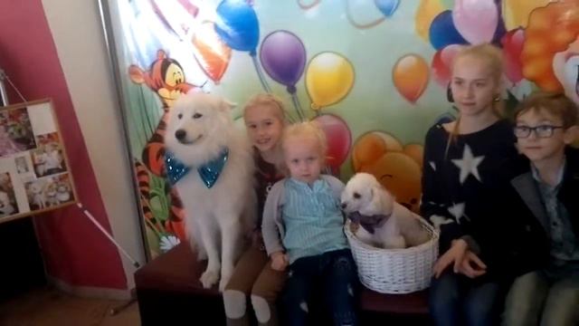 Фото с цирковыми хвостатыми артистами в антракте произошло и это событие на видео себя сразу нашло! смотреть онлайн