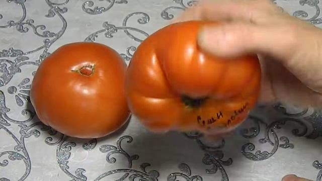 Томат Семён Безголовый. Тест зрелых плодов. смотреть онлайн
